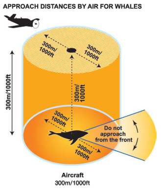Image of Plane Distance Guidelines Whales