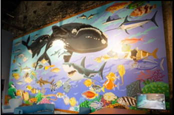 SA Whale Centre WIll Mural