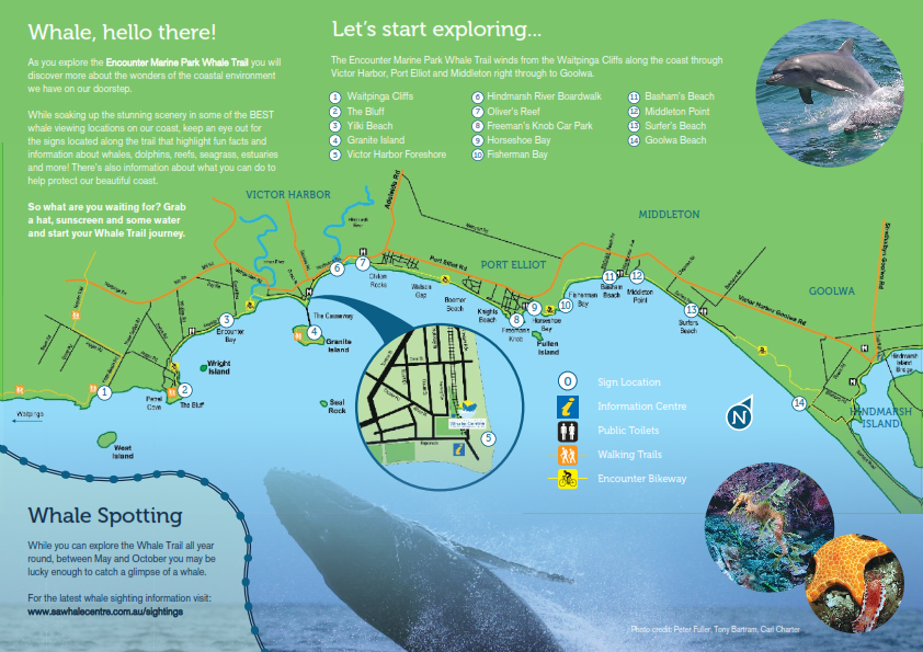 Whale Trail Brochure Map