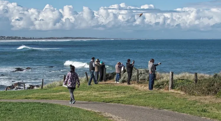 Whale Spotters from Basham Beach in Middleton