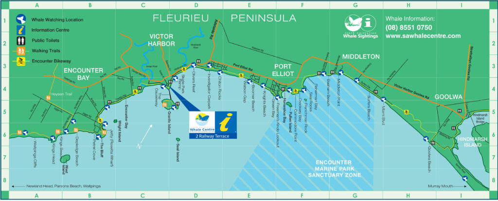 FLEURIEU Whale Map 2024